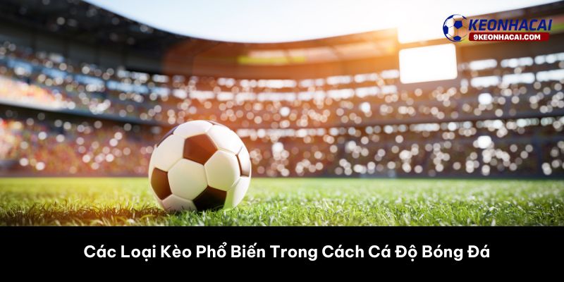 Các Loại Kèo Phổ Biến Trong Cách Cá Độ Bóng Đá 