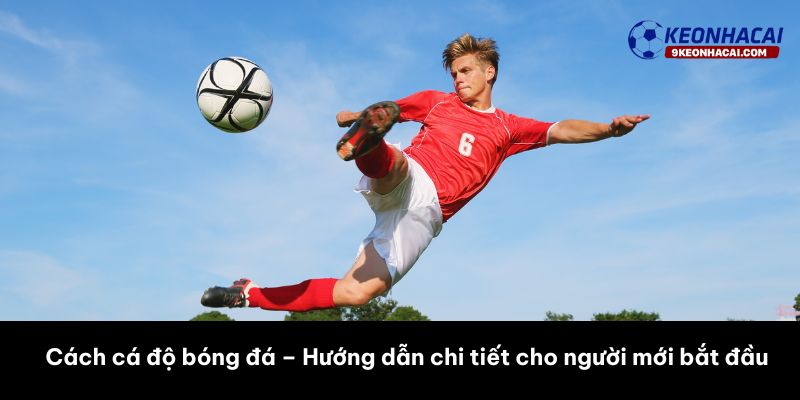 cách cá độ bóng đá