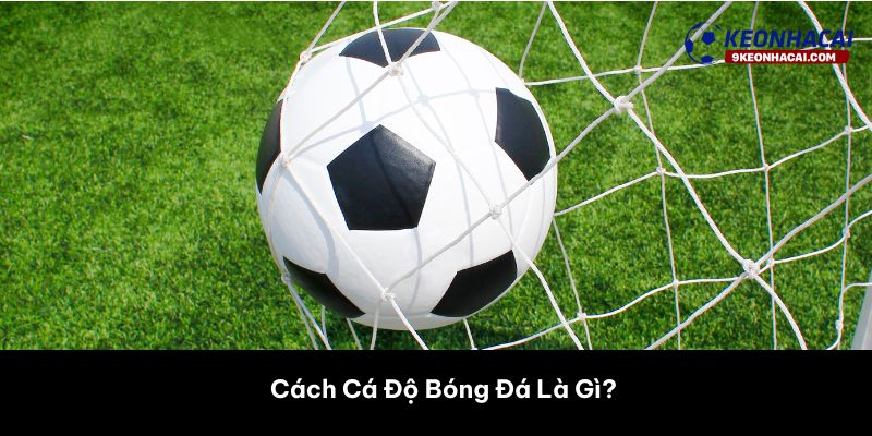 Cách Cá Độ Bóng Đá Là Gì? 