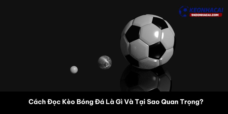 Cách Đọc Kèo Bóng Đá Là Gì Và Tại Sao Quan Trọng? 