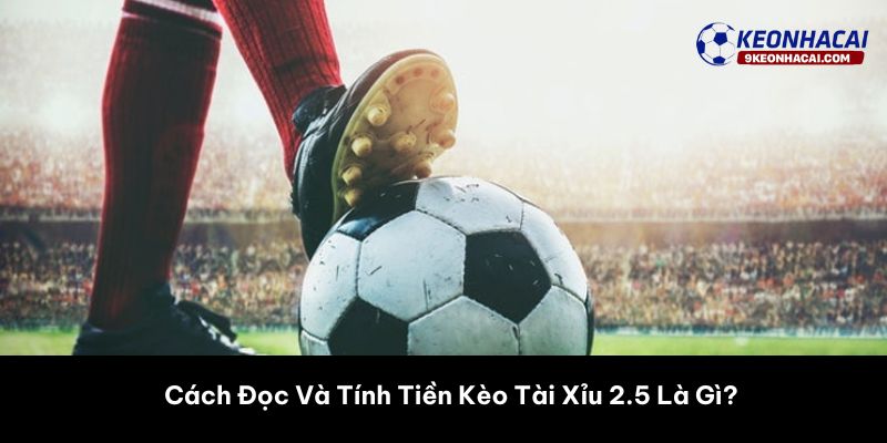 Cách Đọc Và Tính Tiền Kèo Tài Xỉu 2.5 Là Gì?