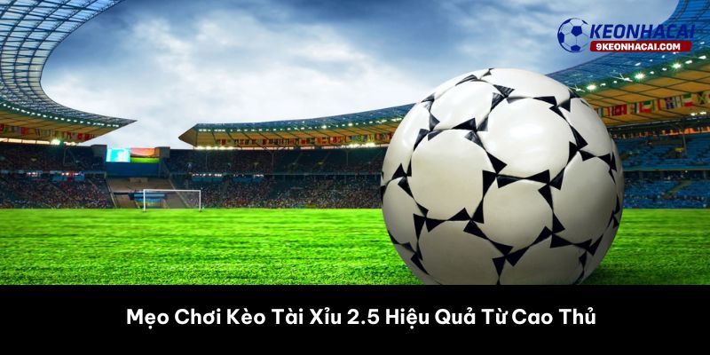 Mẹo Chơi Kèo Tài Xỉu 2.5 Hiệu Quả Từ Cao Thủ
