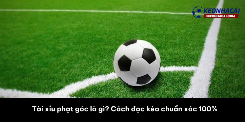 Tài xỉu phạt góc là gì? Cách đọc kèo chuẩn xác 100% Tài xỉu phạt góc là gì? Cách đọc kèo chuẩn xác 100% 