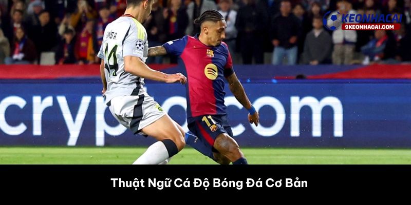 Thuật Ngữ Cá Độ Bóng Đá Cơ Bản 