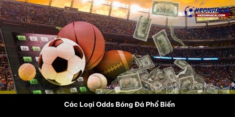 Các Loại Odds Bóng Đá Phổ Biến 