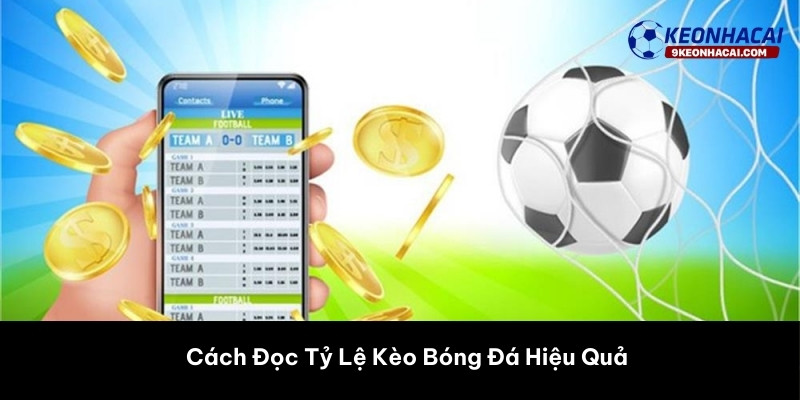 Cách Đọc Tỷ Lệ Kèo Bóng Đá Hiệu Quả 