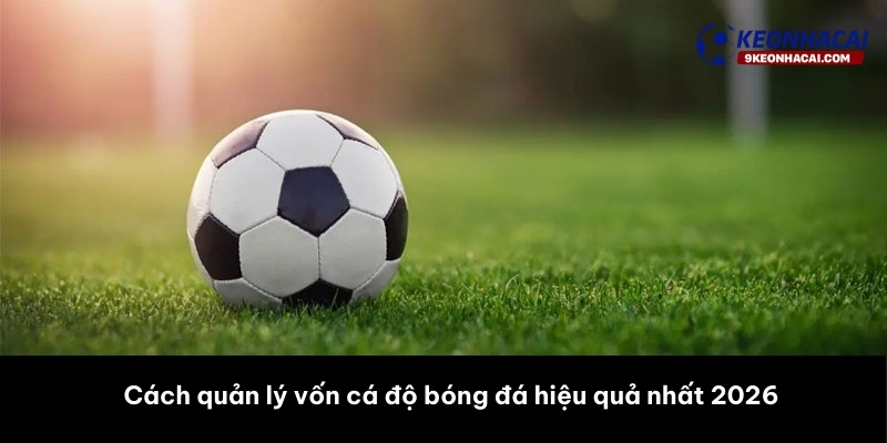 Cách quản lý vốn cá độ bóng đá hiệu quả nhất 2026