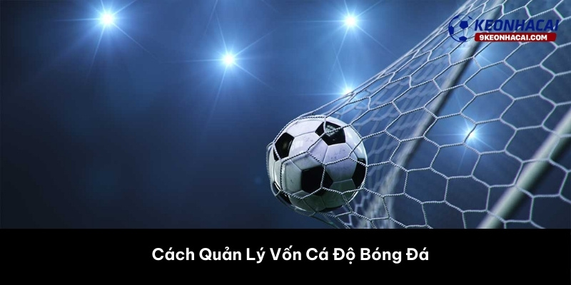 Cách Quản Lý Vốn Cá Độ Bóng Đá 