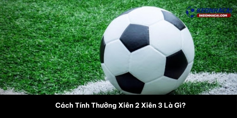 Cách Tính Thưởng Xiên 2 Xiên 3 Là Gì?