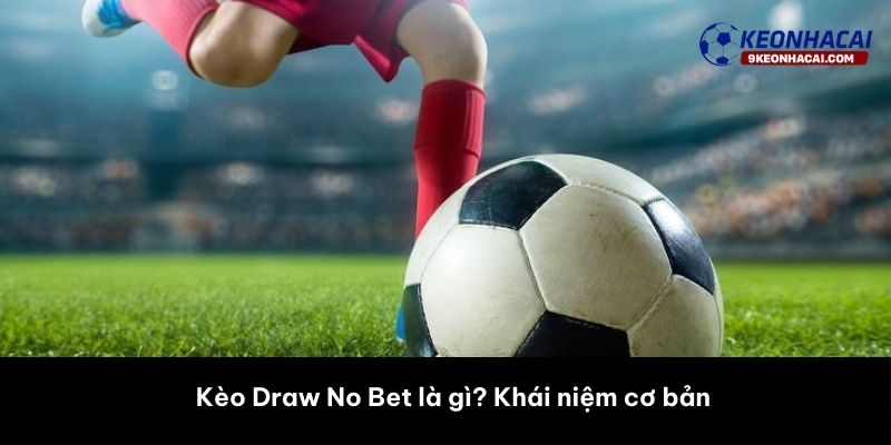 Kèo Draw No Bet là gì? Khái niệm cơ bản
