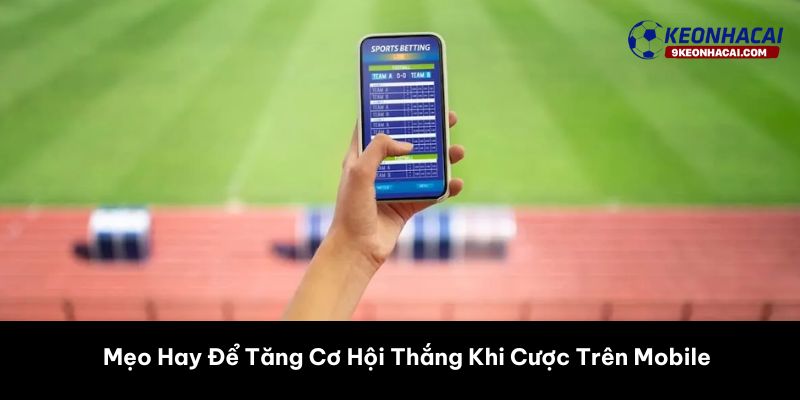 Mẹo Hay Để Tăng Cơ Hội Thắng Khi Cược Trên Mobile 