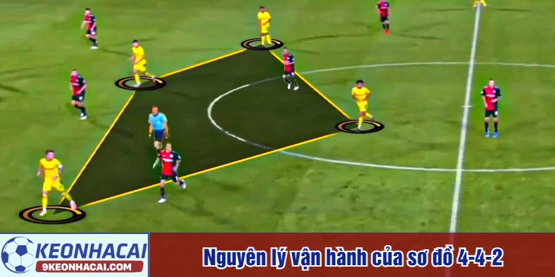 Nguyên lý vận hành của sơ đồ 4-4-2