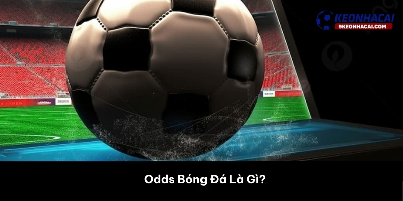 Odds Bóng Đá Là Gì? 