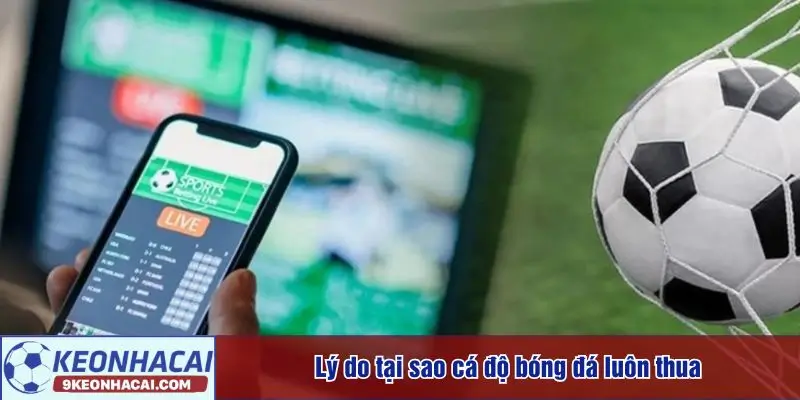 Lý do tại sao cá độ bóng đá luôn thua