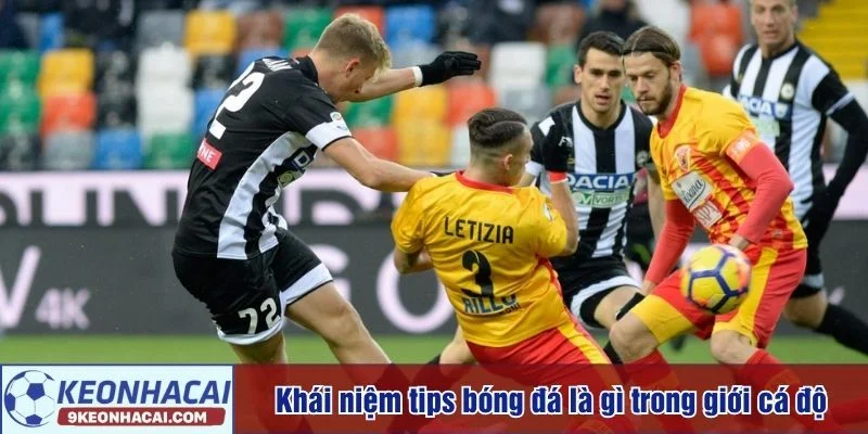 Tips bóng đá là gì luôn thu hút sự quan tâm của tân thủ