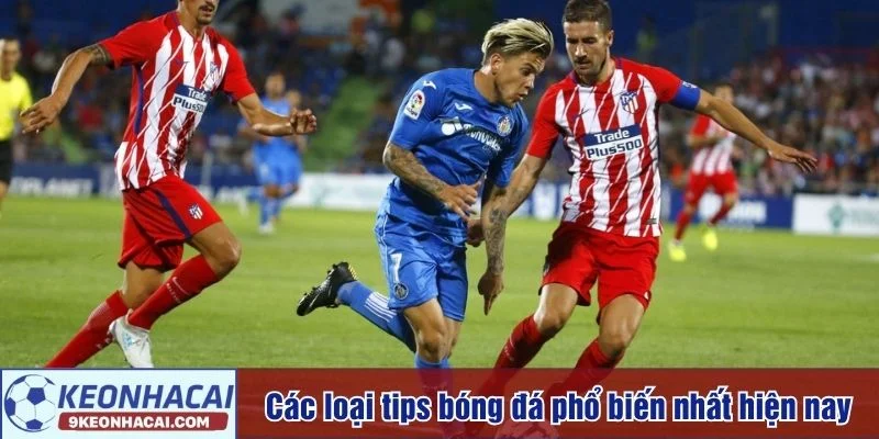 Trên thị trường tồn tại nhiều dạng tips khác nhau