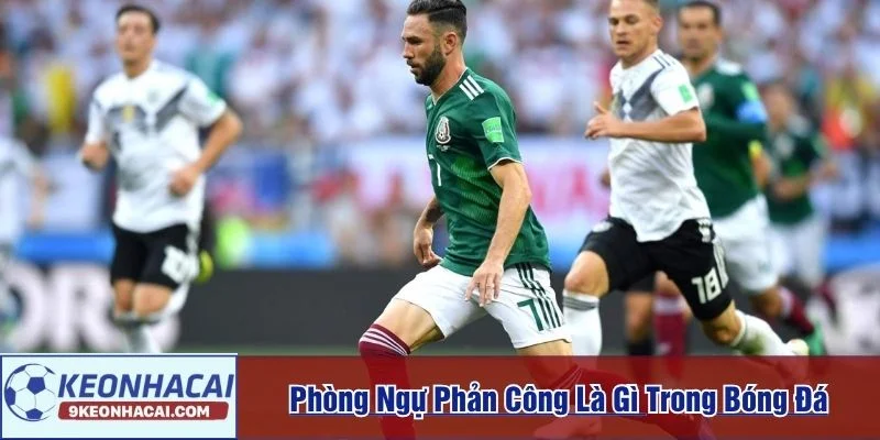 Phòng ngự phản công là gì