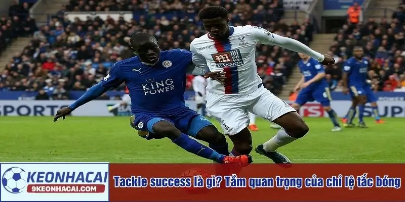 Tackle Success là gì