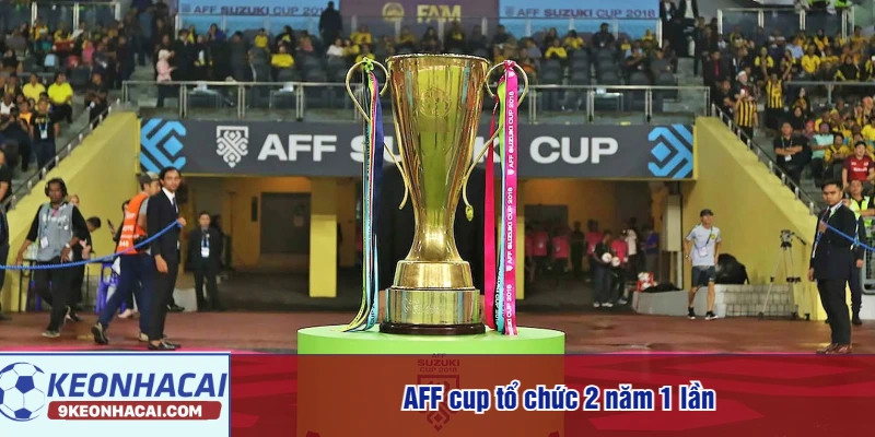 AFF cup tổ chức 2 năm 1 lần