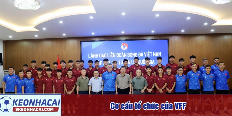 Cơ cấu tổ chức của VFF