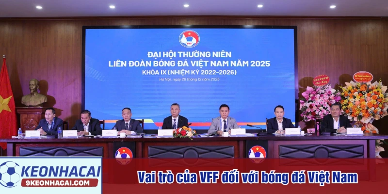 Vai trò của VFF đối với bóng đá Việt Nam