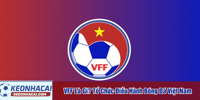 VFF là gì