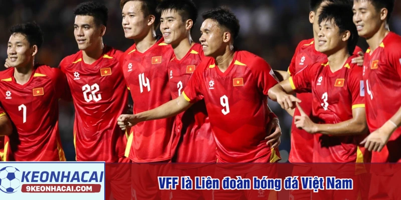 VFF là Liên đoàn bóng đá Việt Nam